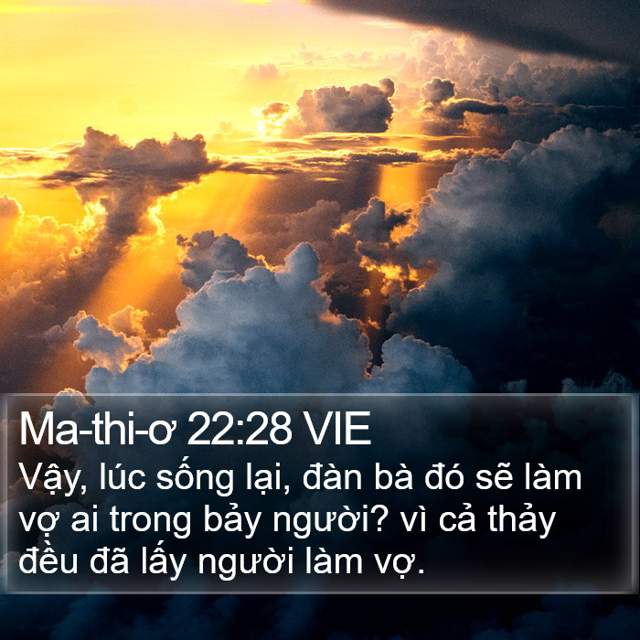 Ma-thi-ơ 22:28 VIE Bible Study