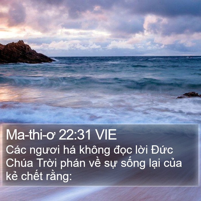 Ma-thi-ơ 22:31 VIE Bible Study