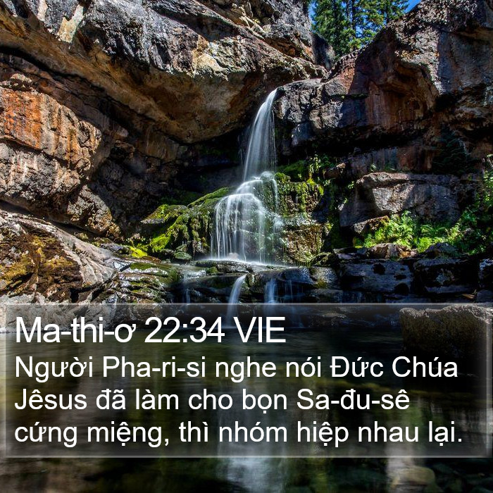 Ma-thi-ơ 22:34 VIE Bible Study