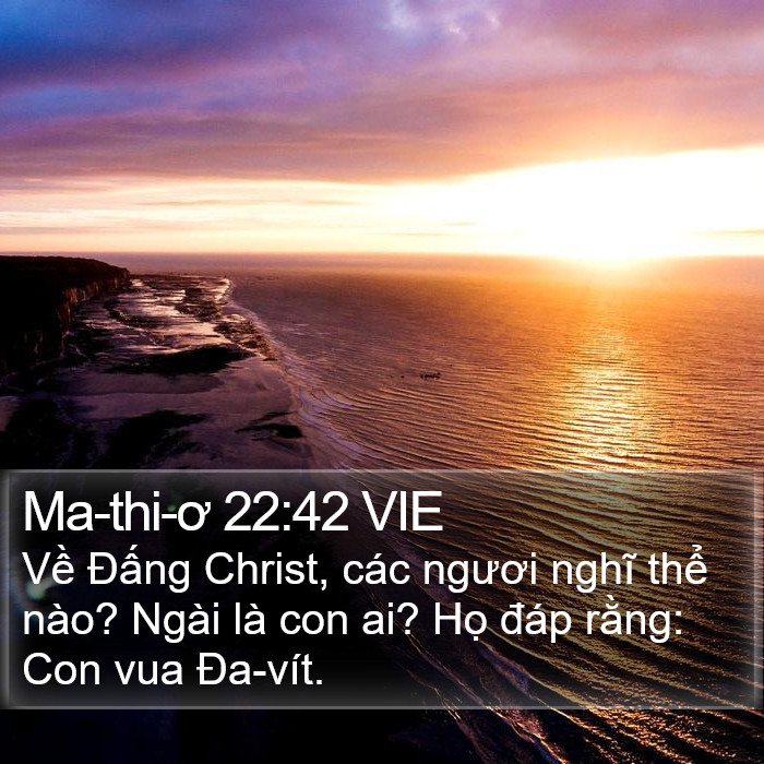 Ma-thi-ơ 22:42 VIE Bible Study
