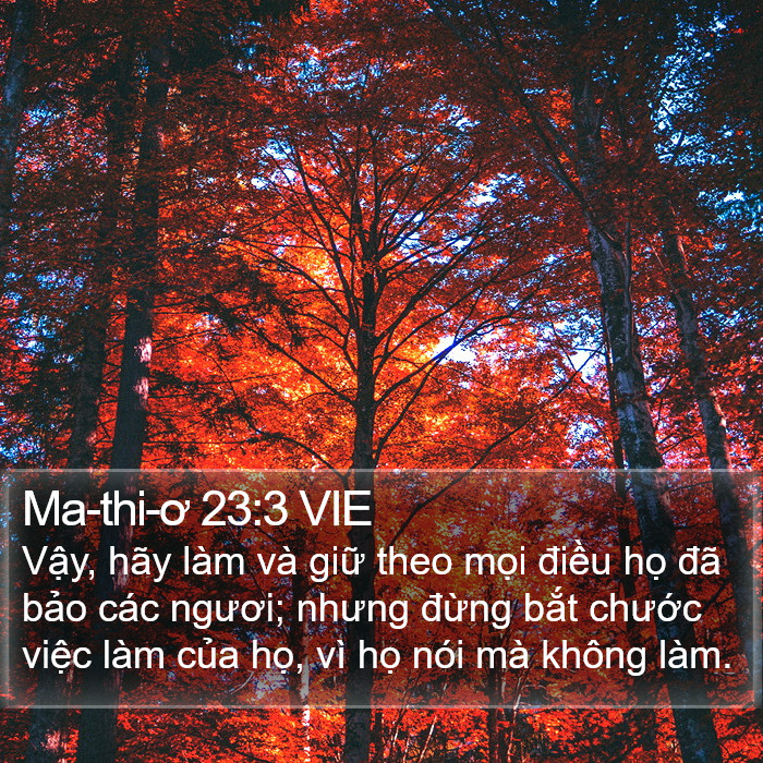 Ma-thi-ơ 23:3 VIE Bible Study
