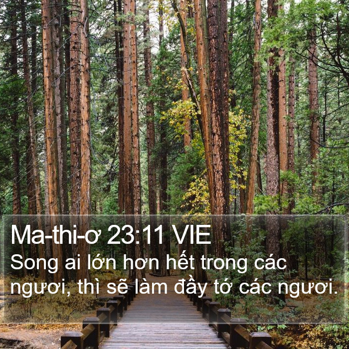 Ma-thi-ơ 23:11 VIE Bible Study