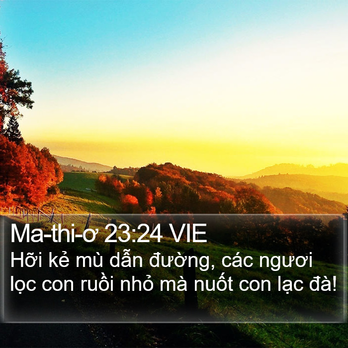 Ma-thi-ơ 23:24 VIE Bible Study