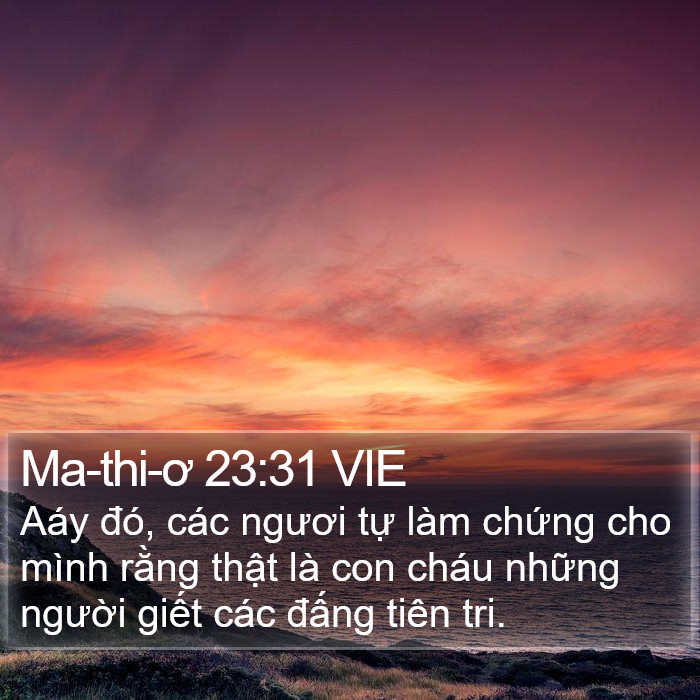 Ma-thi-ơ 23:31 VIE Bible Study