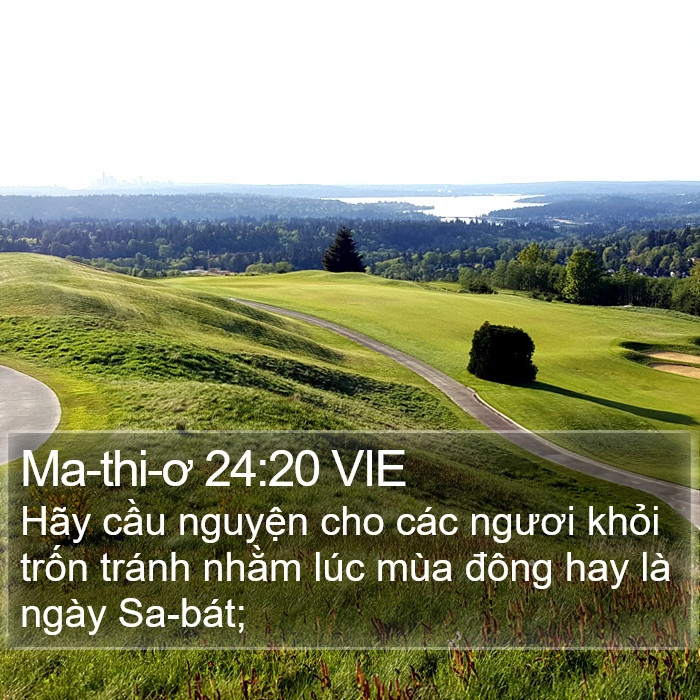 Ma-thi-ơ 24:20 VIE Bible Study