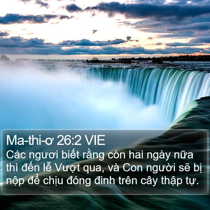 Ma-thi-ơ 26:2 VIE Bible Study