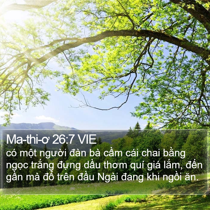 Ma-thi-ơ 26:7 VIE Bible Study