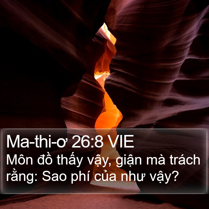Ma-thi-ơ 26:8 VIE Bible Study