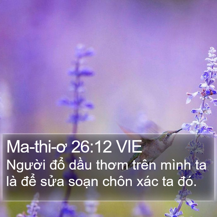 Ma-thi-ơ 26:12 VIE Bible Study