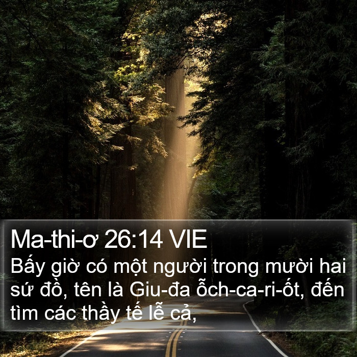 Ma-thi-ơ 26:14 VIE Bible Study