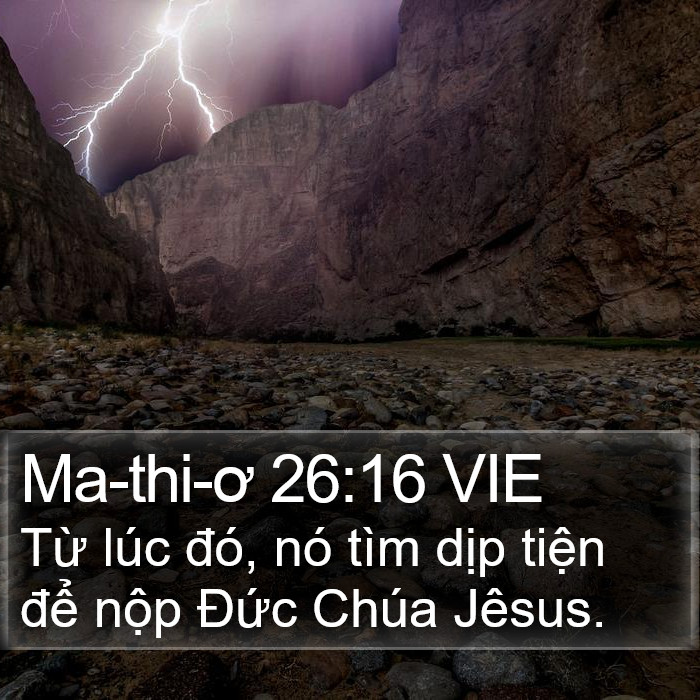 Ma-thi-ơ 26:16 VIE Bible Study