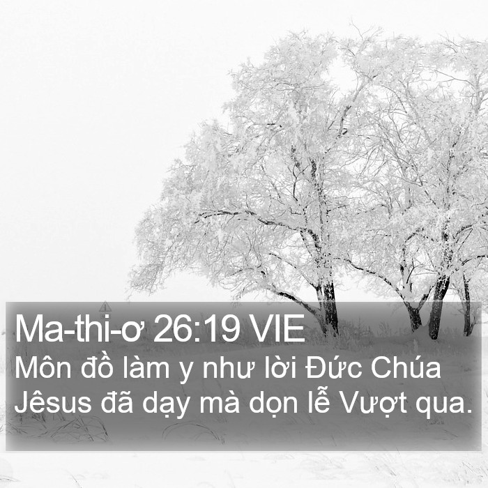 Ma-thi-ơ 26:19 VIE Bible Study