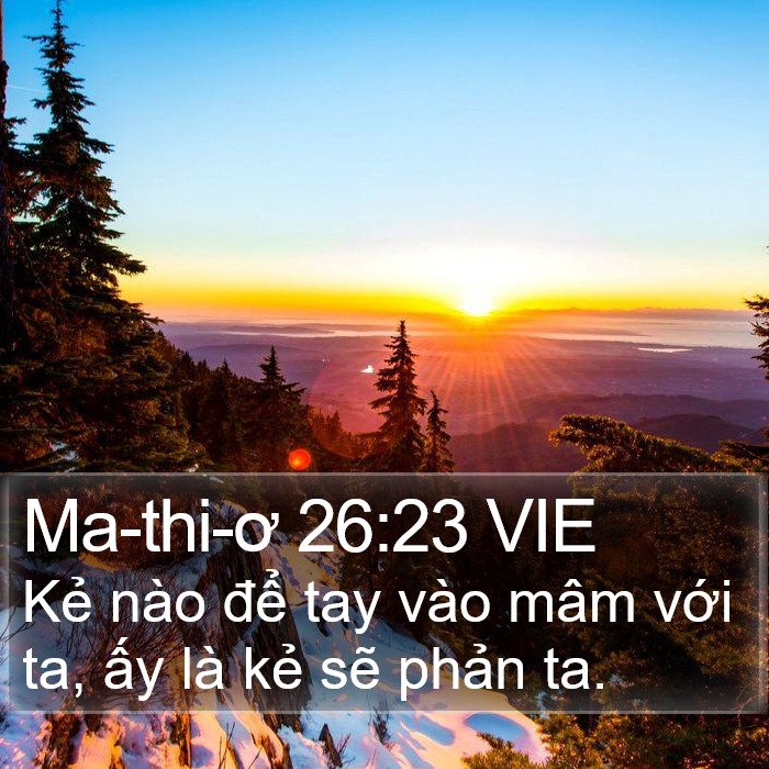 Ma-thi-ơ 26:23 VIE Bible Study