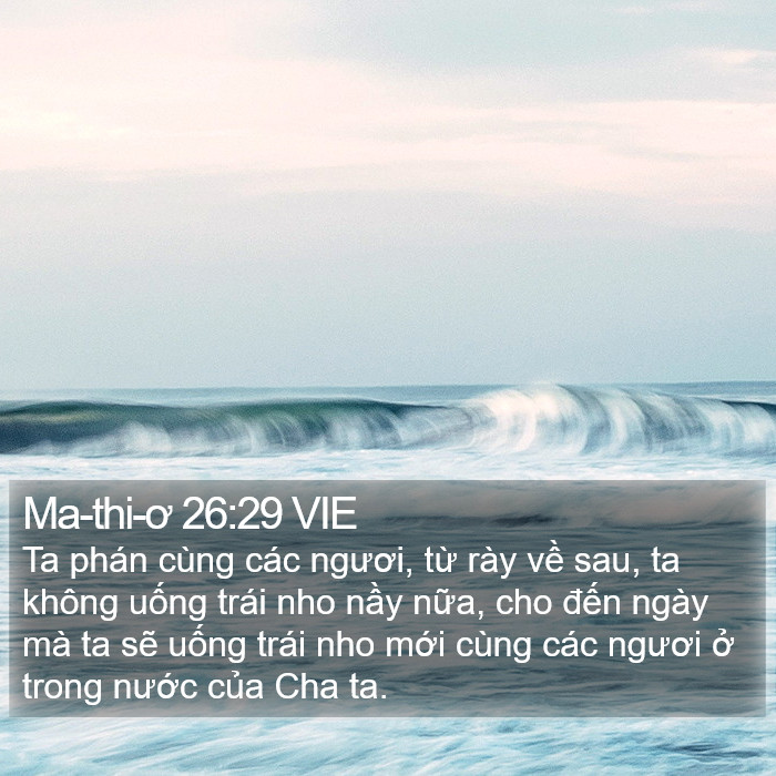 Ma-thi-ơ 26:29 VIE Bible Study