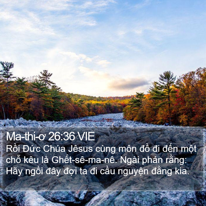 Ma-thi-ơ 26:36 VIE Bible Study