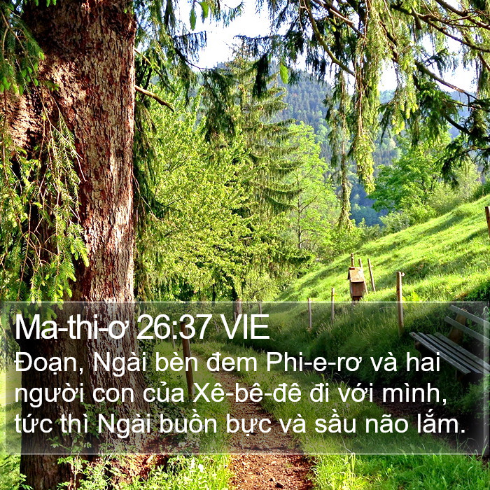 Ma-thi-ơ 26:37 VIE Bible Study