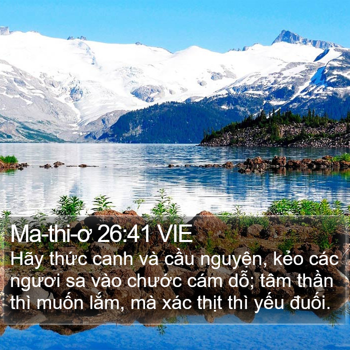 Ma-thi-ơ 26:41 VIE Bible Study