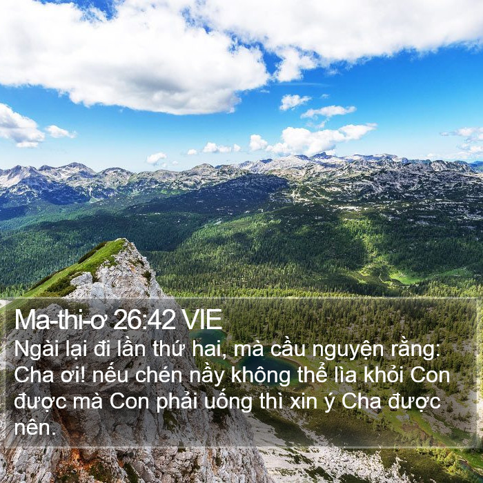 Ma-thi-ơ 26:42 VIE Bible Study