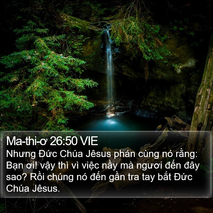 Ma-thi-ơ 26:50 VIE Bible Study
