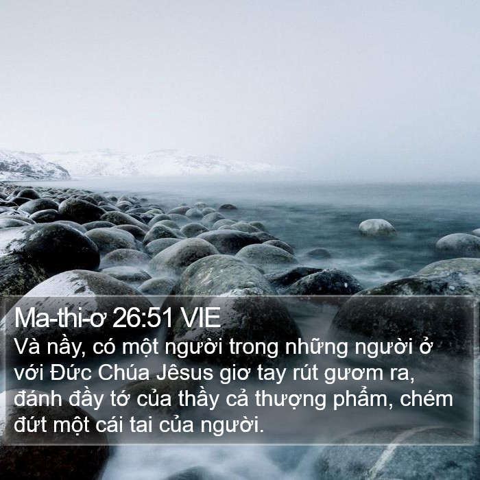 Ma-thi-ơ 26:51 VIE Bible Study