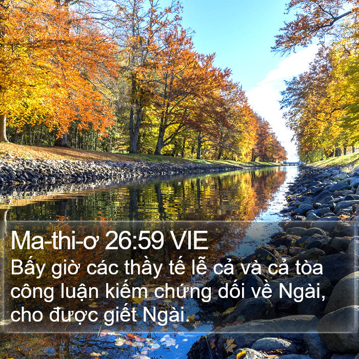 Ma-thi-ơ 26:59 VIE Bible Study