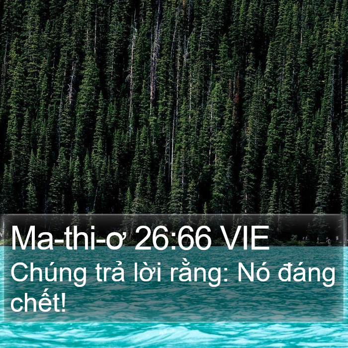Ma-thi-ơ 26:66 VIE Bible Study