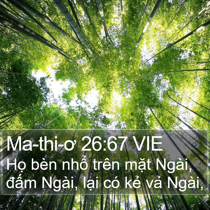 Ma-thi-ơ 26:67 VIE Bible Study