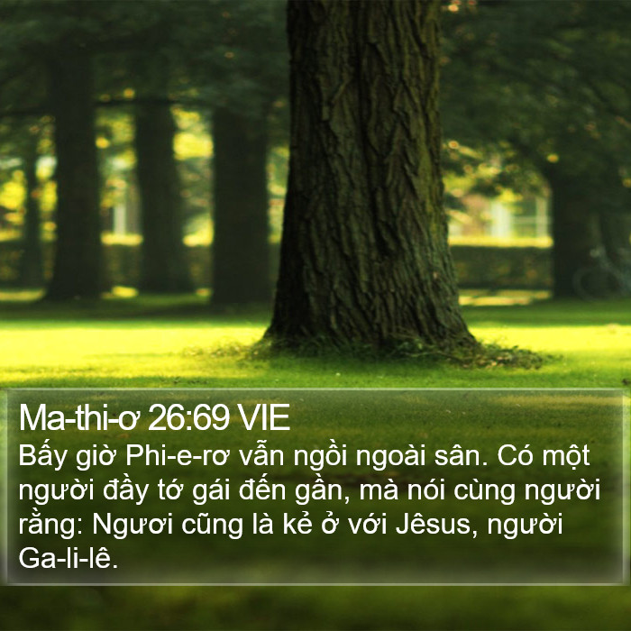 Ma-thi-ơ 26:69 VIE Bible Study