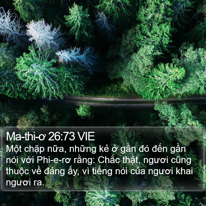Ma-thi-ơ 26:73 VIE Bible Study