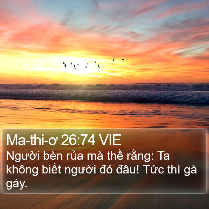 Ma-thi-ơ 26:74 VIE Bible Study