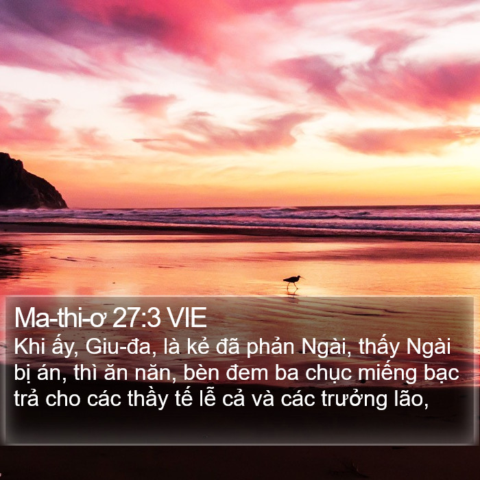 Ma-thi-ơ 27:3 VIE Bible Study