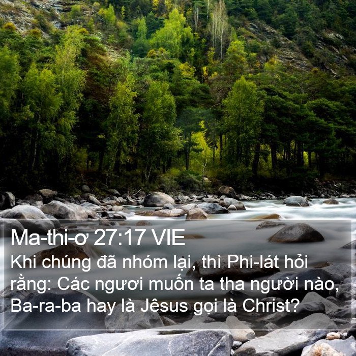Ma-thi-ơ 27:17 VIE Bible Study