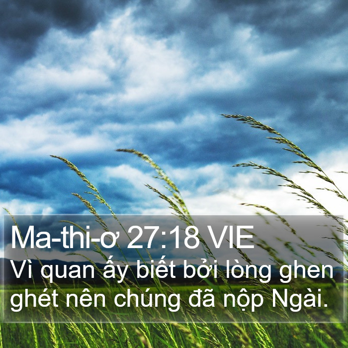 Ma-thi-ơ 27:18 VIE Bible Study