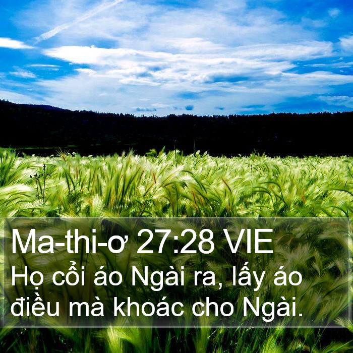 Ma-thi-ơ 27:28 VIE Bible Study