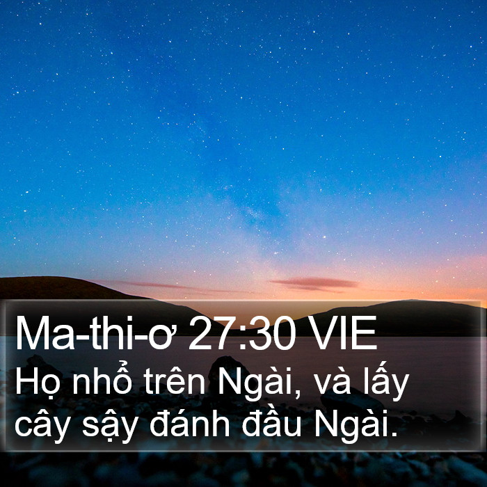 Ma-thi-ơ 27:30 VIE Bible Study