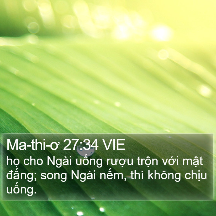 Ma-thi-ơ 27:34 VIE Bible Study