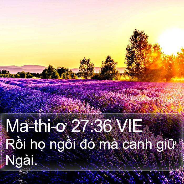 Ma-thi-ơ 27:36 VIE Bible Study