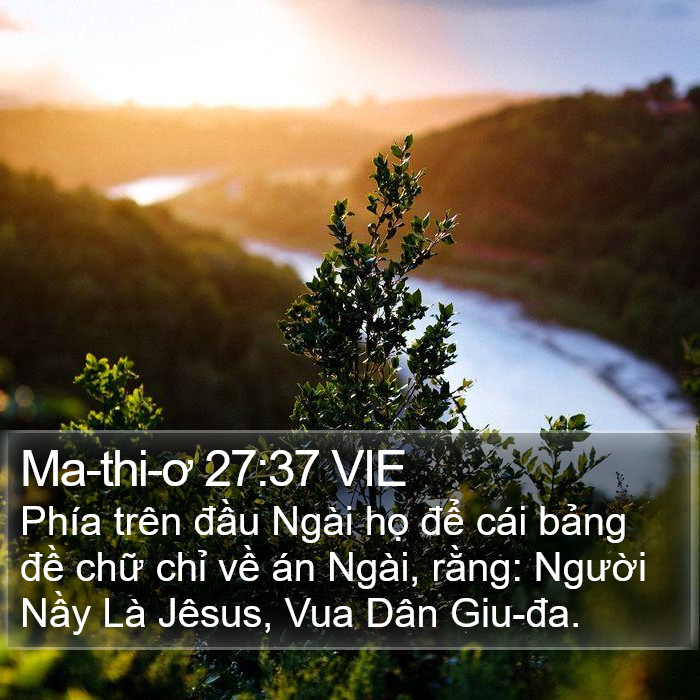 Ma-thi-ơ 27:37 VIE Bible Study