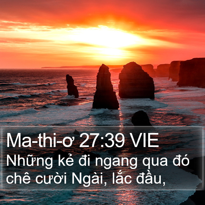 Ma-thi-ơ 27:39 VIE Bible Study