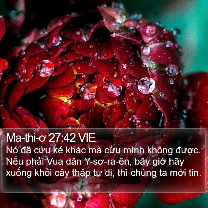 Ma-thi-ơ 27:42 VIE Bible Study