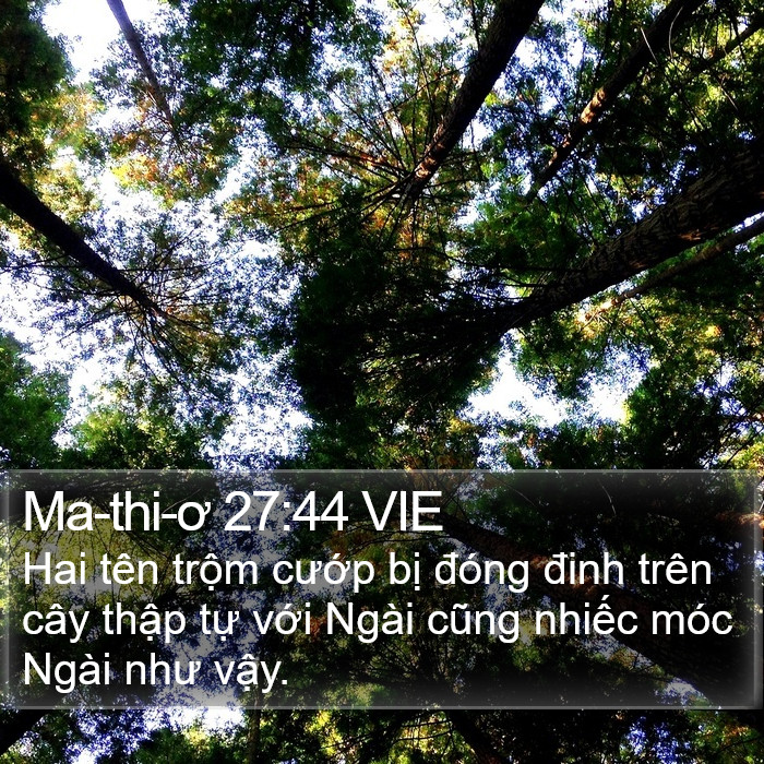 Ma-thi-ơ 27:44 VIE Bible Study