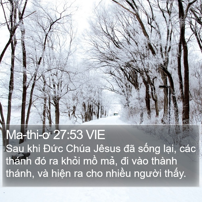 Ma-thi-ơ 27:53 VIE Bible Study