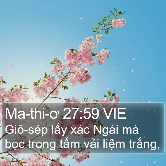 Ma-thi-ơ 27:59 VIE Bible Study
