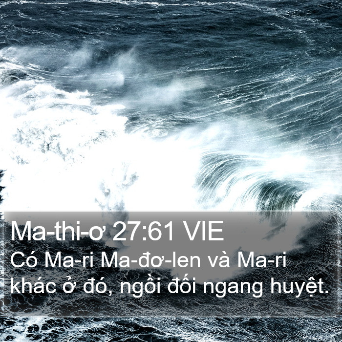 Ma-thi-ơ 27:61 VIE Bible Study