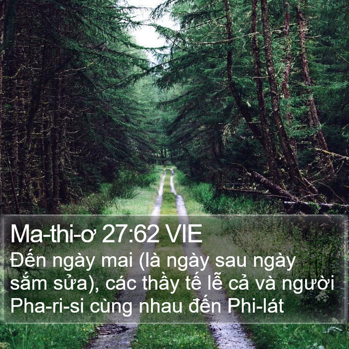Ma-thi-ơ 27:62 VIE Bible Study