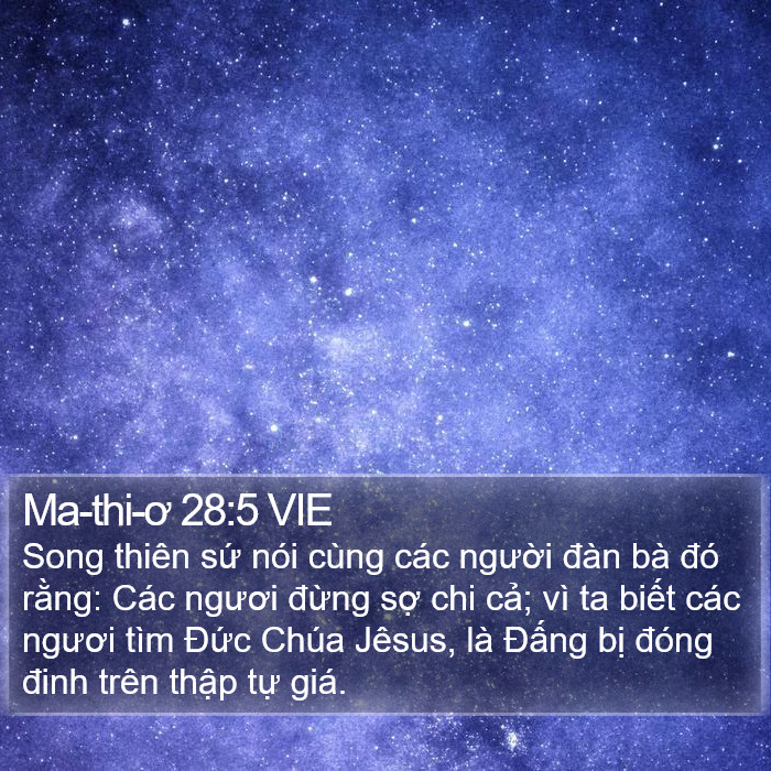 Ma-thi-ơ 28:5 VIE Bible Study