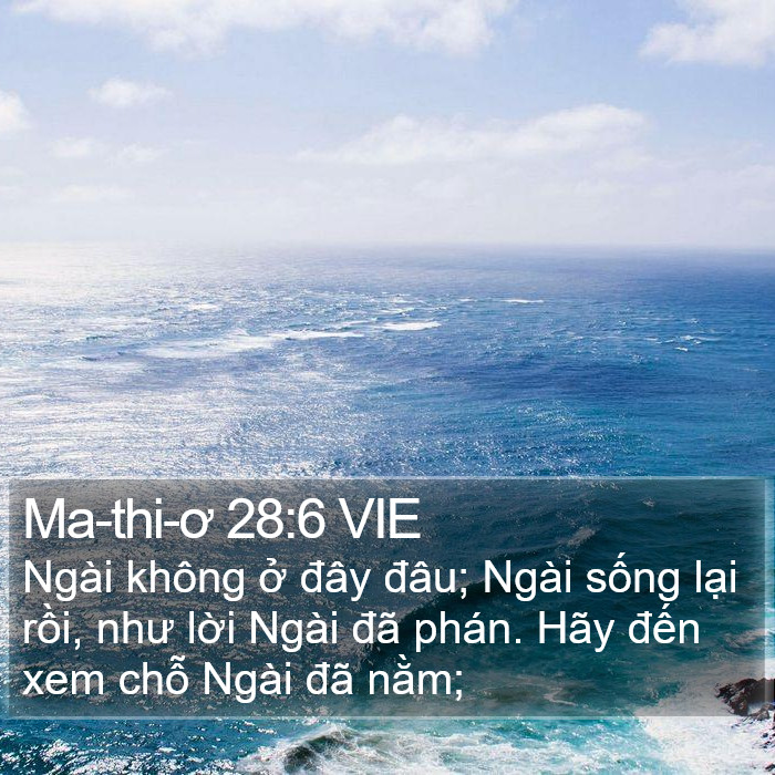 Ma-thi-ơ 28:6 VIE Bible Study