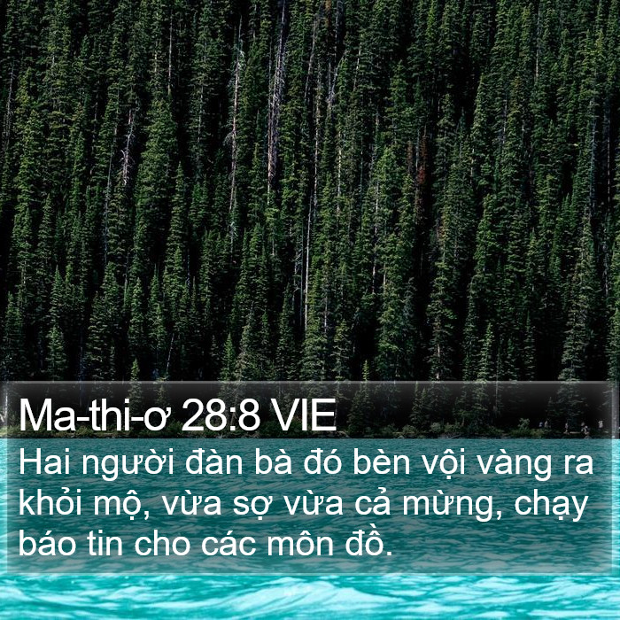 Ma-thi-ơ 28:8 VIE Bible Study