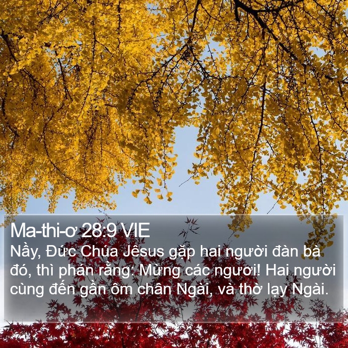 Ma-thi-ơ 28:9 VIE Bible Study