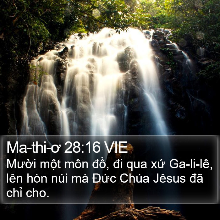 Ma-thi-ơ 28:16 VIE Bible Study